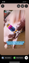 Load image into Gallery viewer, Colorful Too Mohair Breast Collar
